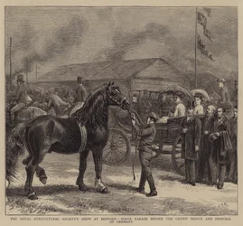 The Royal Agricultural Society