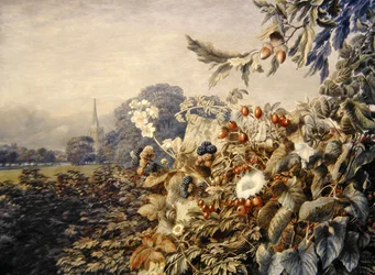 Summer Landscape