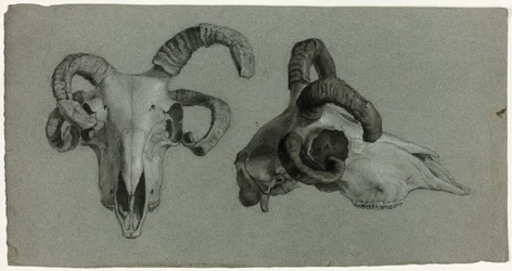 Rams
