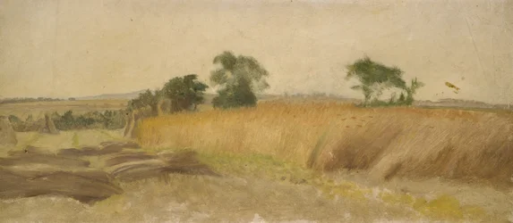 Study of a Cornfield