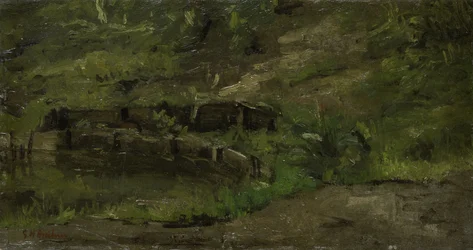 Meadow Landscape
