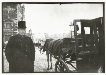 Horses with Carriage at Leidseplein in Amsterdam