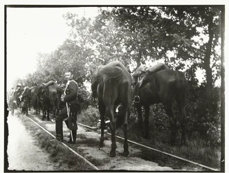 Resting Cavalry Along a Railway