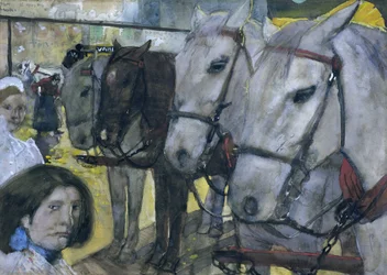 Draft Horses on the Dam in Amsterdam