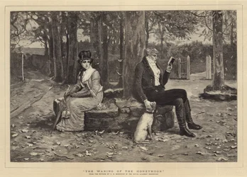 The Waning of the Honeymoon