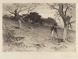 Orchard