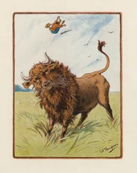 The Bison