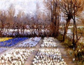 A Crocus Field in Spring, c.1889