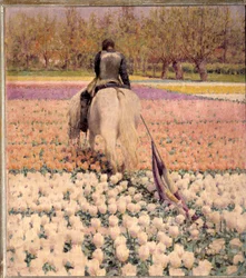 Defeated: A Despondent Rider Crosses a Field of Tulips After the Defeat