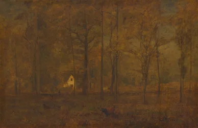 Autumn Woods