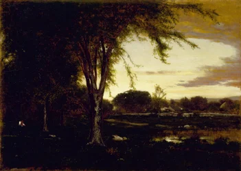 Landscape