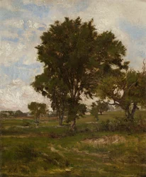 The Elm Tree