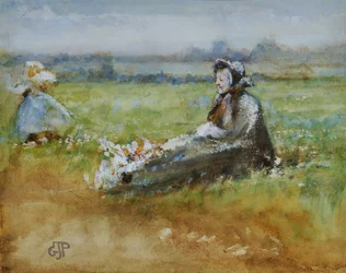 In the Meadow