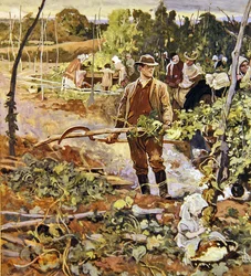 The Gleaners