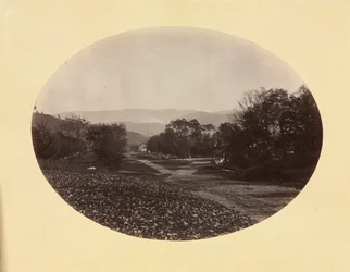 A Road in Williamstown