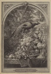 The Peacock at Home