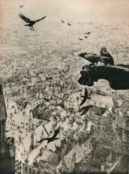 The Jackdaws of Chartres