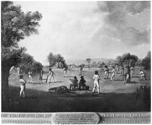 A Cricket Match