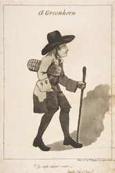 A Greenhorn