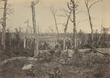 Battleground of Resaca, Georgia, No 3, 1864