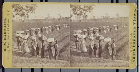 Returning from the Cottonfields in South Carolina