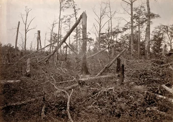 The Hell Hole, New Hope Church, Georgia, from Photographic Views of Sherman