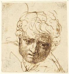 Head of a Boy