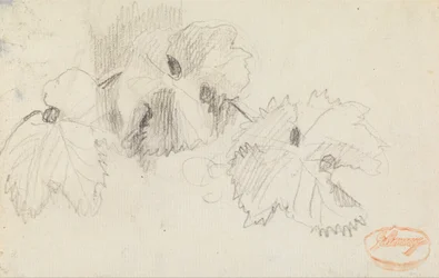 Leaves 1