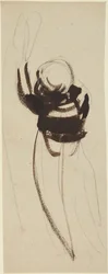 Study of a Child Reaching Up