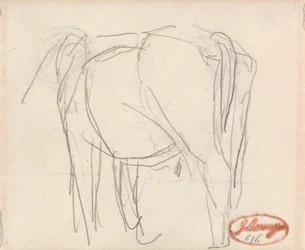 Study of an Animal
