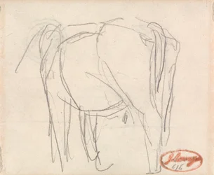 Study of an Animal