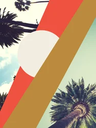 LA Sunshine