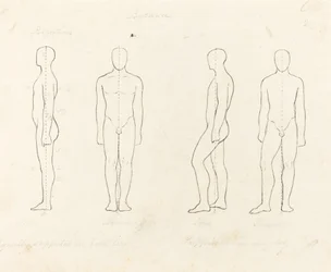 Extent of Motion, Front and Side View Equipoised, Supported on One Leg