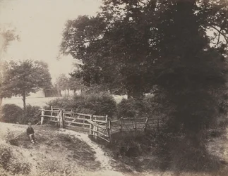 Green Meadows, 1854