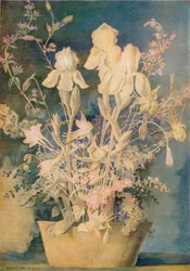 Flower Painting by George Sheringham