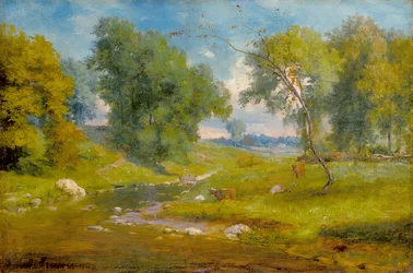 In The Meadow