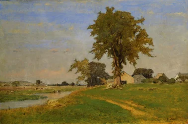 Old Elm at Medfield