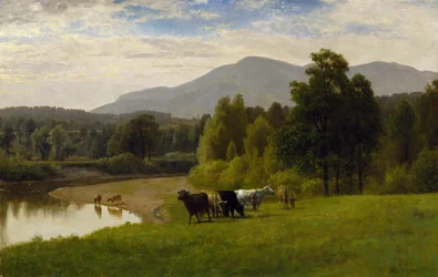 Pasture Lands
