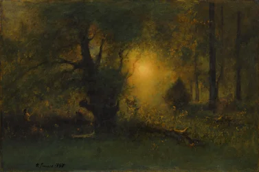 Sunrise in the Woods
