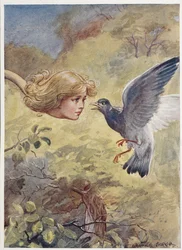 Alice with a Long Neck, Scaring a Pigeon