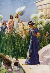 The Babe Among The Bulrushes