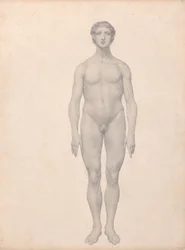 Human Figure, Anterior View