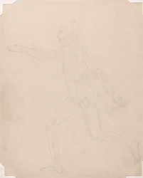 Human Figure, Lateral View