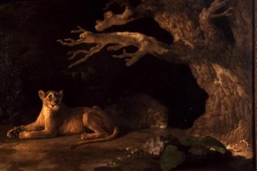 A Lion and a Lioness