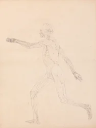 Human Figure, Lateral View (For the Key Figure to Table XIII)
