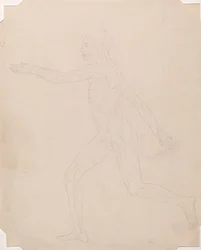 Human Figure, Lateral View