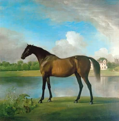 Lord Bolingbroke
