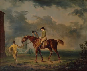 Sir Salomon, A Bay Racehorse with J.Singleton, Newmarket