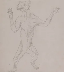 Study of a Tiger, Standing in Human Posture, from A Comparative Anatomical Exposition of the Structure of the Human Body with that of a Tiger and a Common Fowl