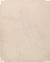 Study of the Human Figure, Lateral View, A Comparative Anatomical Exposition of the Structure of the Human Body with that of a Tiger and a Common Fowl, c.1795-1806